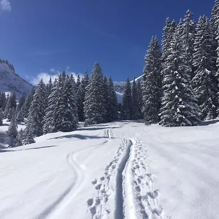 Der Tannenhof * Hinterbichl (Reutte)