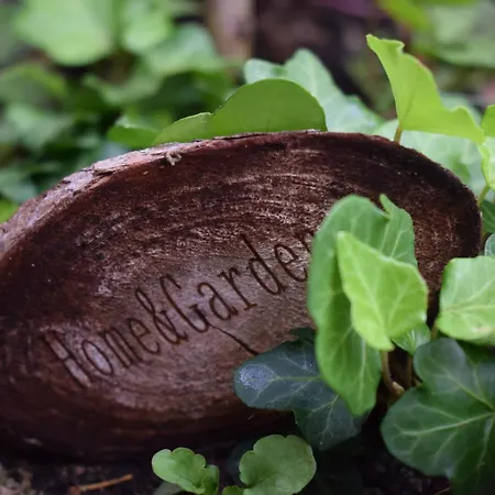 Apartament Der Tannenhof Hinterbichl (Reutte)